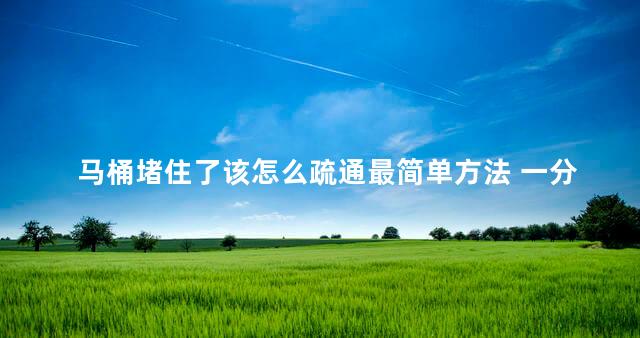 马桶堵住了该怎么疏通最简单方法 一分钟快速通马桶